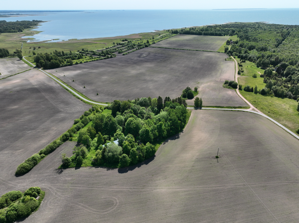 Estonia – the 2nd biggest hemp grower in Europe