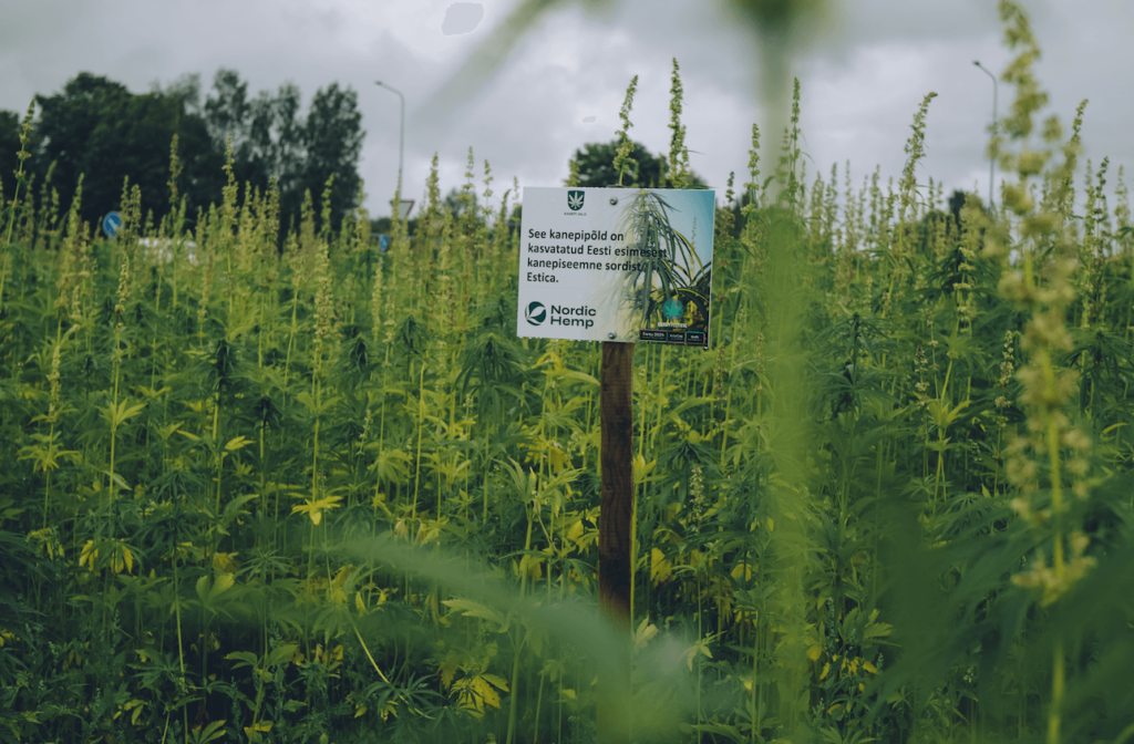 Hemp conference in Estonia