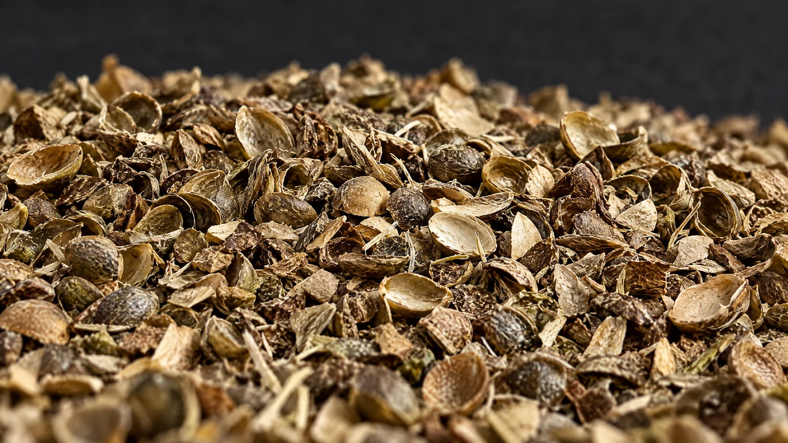 Organic hemp seed shells in close-up, dry curved olive-brown hull fragments with fine chaff and short fibres
