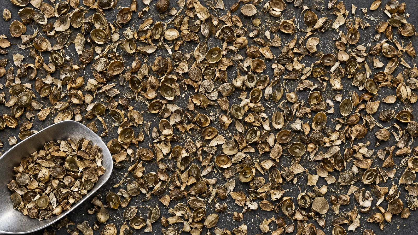 Organic hemp seed shells spread on a dark studio bench with a stainless steel sampling scoop, broken olive-brown hull fragments and fine dust